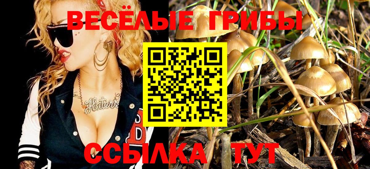 Галлюциногенные грибы Psilocybine cubensis  Галлюциногенные грибы MAGIC MUSHROOMS  Горячий Ключ  Вход с VPN 